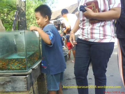 Seorang anak dengan riang sedang memilih ikan hias di Pasar Jodog.