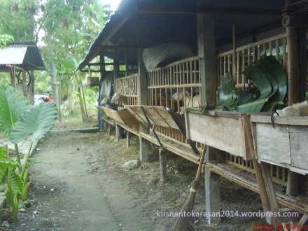 tampilan "Griyo Mendo" dari Utara.