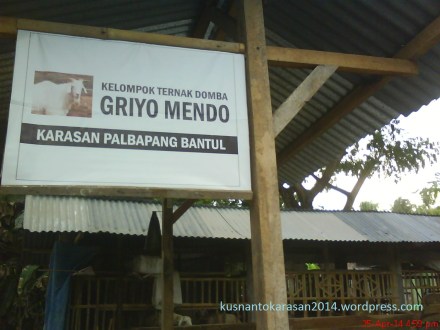 "Griyo Mendo", nama kandang kelompok ternak domba yang ada di RT 02.