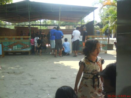 tempat pemotongan daging