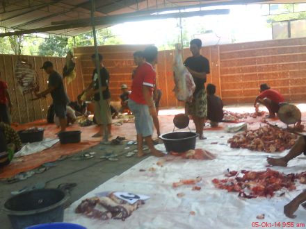 Proses pemotongan daging