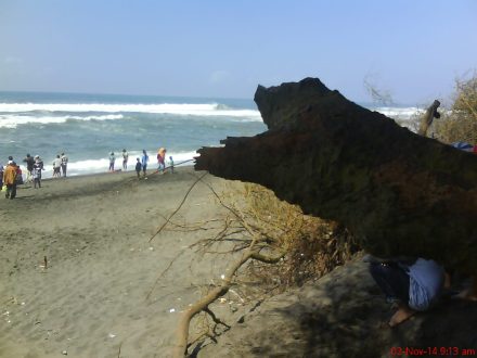 pantai goa cemara
