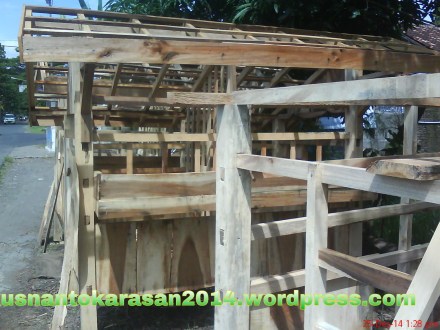 Taipan kandang lambing dari sisi depan