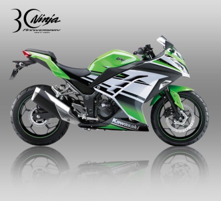 Kawasaki Ninja 300