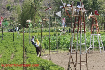 kitiran di Festival Sewu Kitiran 2015 Imogiri