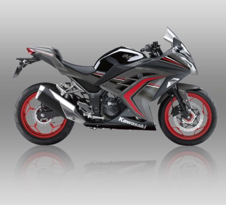Ninja 250 ABS SE Limited warna Metallic Raw Graystone