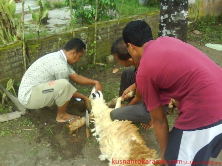 Saat penyembelihan
