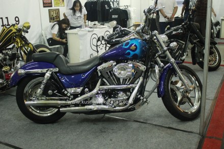 Harley Davidson Renegade