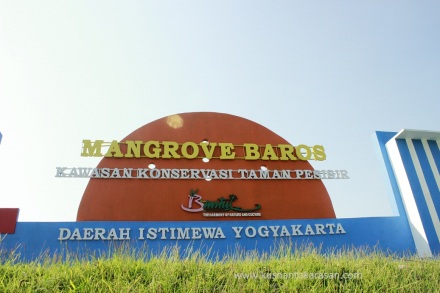 Icon branding Mangrove Baros