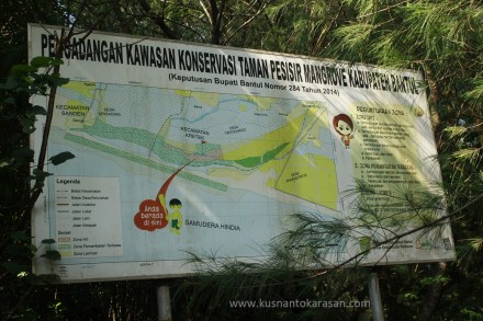 Pengadaan kawasan Konservasi Mangrove Baros di Kabupaten Bantul