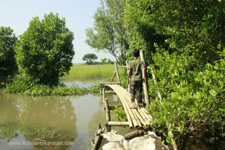 Melewati jembatan bambu