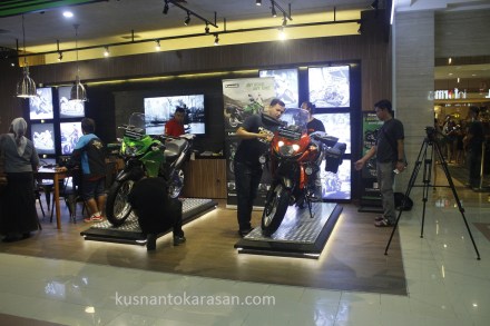 Kawasaki Versys X 250