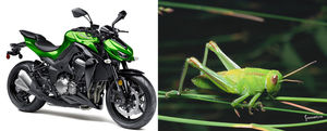 Kawasaki Z1000 mirip belalang